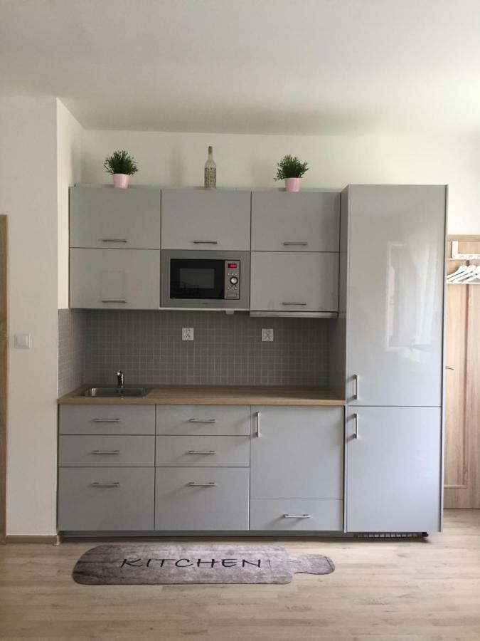 אוסטרבה Satys Apartments מראה חיצוני תמונה